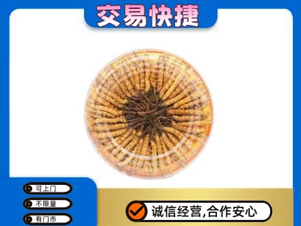 日照礼品回收虫草礼盒.jpg